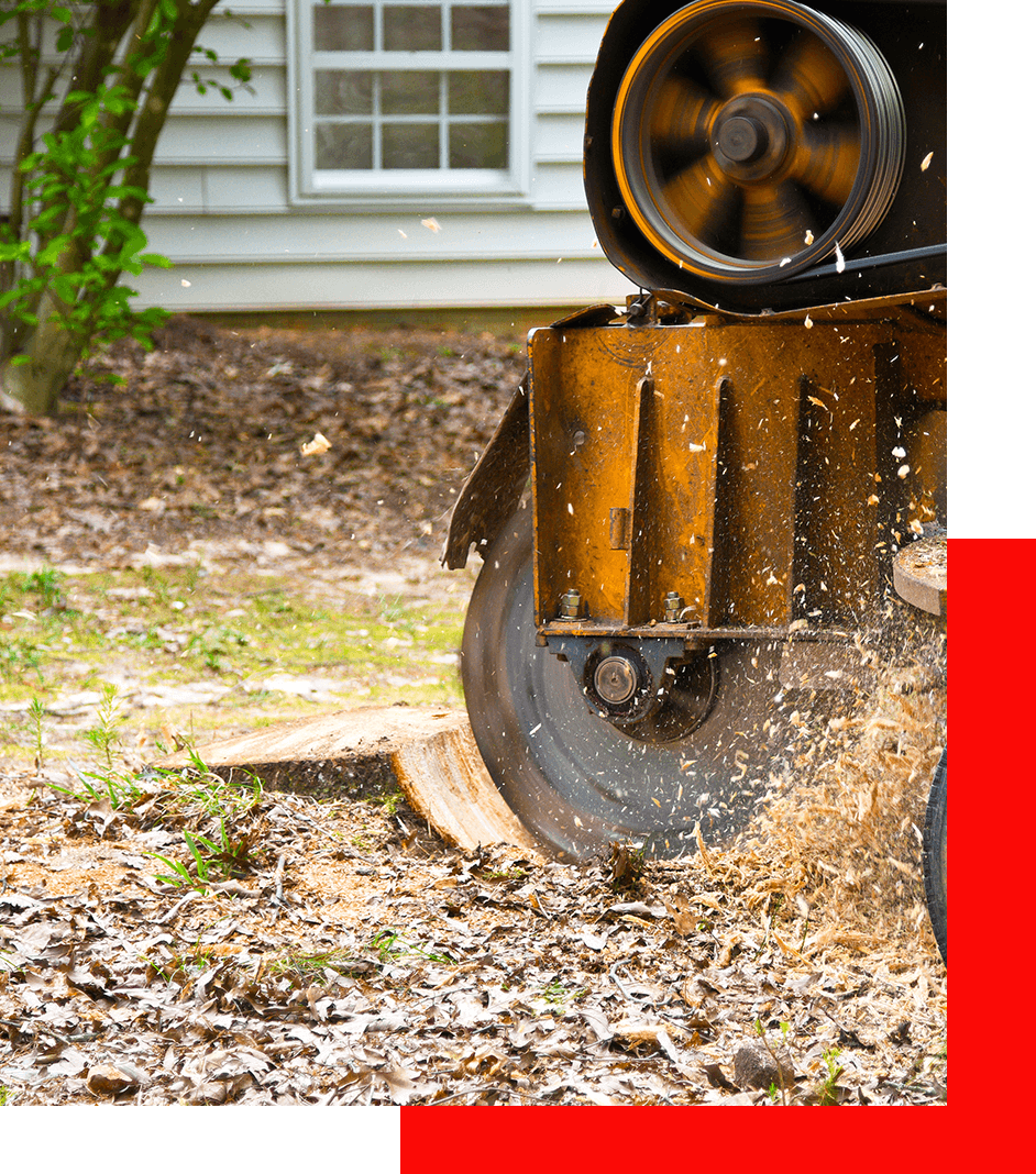 Stump grinder