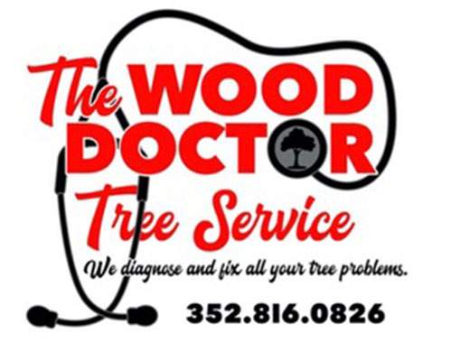 The Wood Doctor