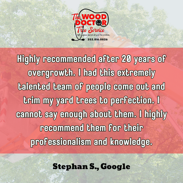 Tree Care Company North Central Florida