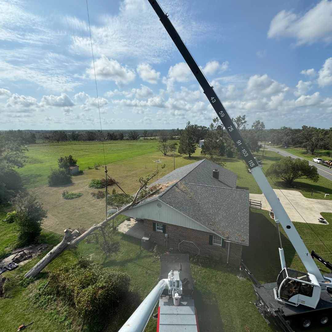 A crane removing a tree from a home