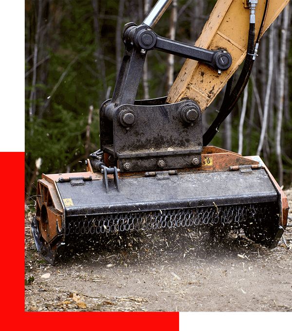 Heavy Equipment Strips Vegetation