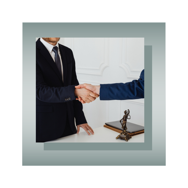 Business Formation and Litigation3.png