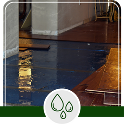 Water Damage Restoration