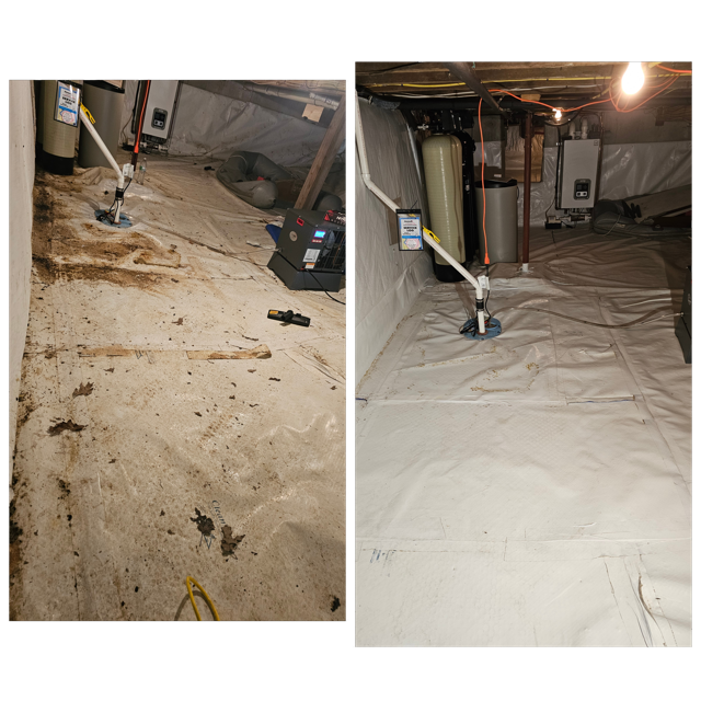 GridArt_20240808_154140773 Medium.png