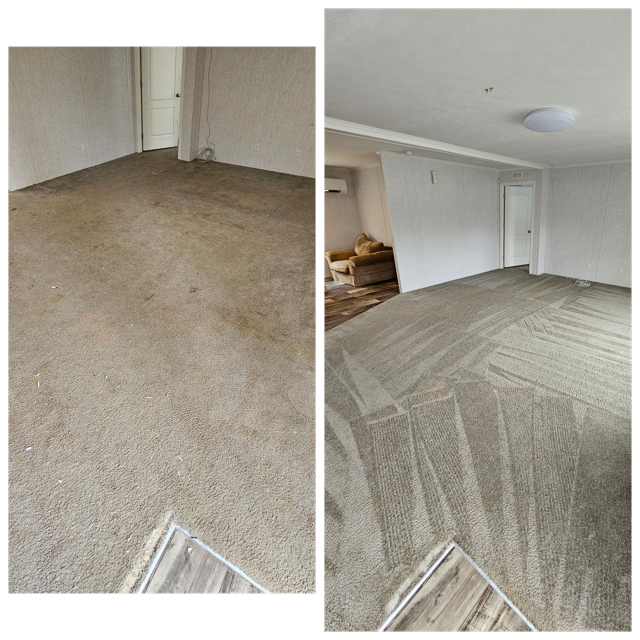 GridArt_20240428_213153373 Medium.png