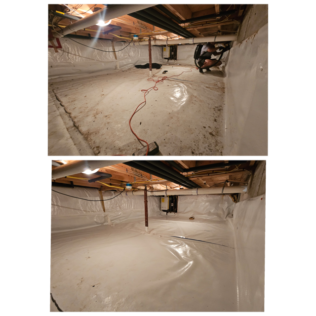 GridArt_20240807_154530691 Medium.png