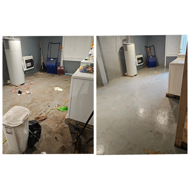 GridArt_20240620_120058633 Medium.png