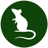 rat icon