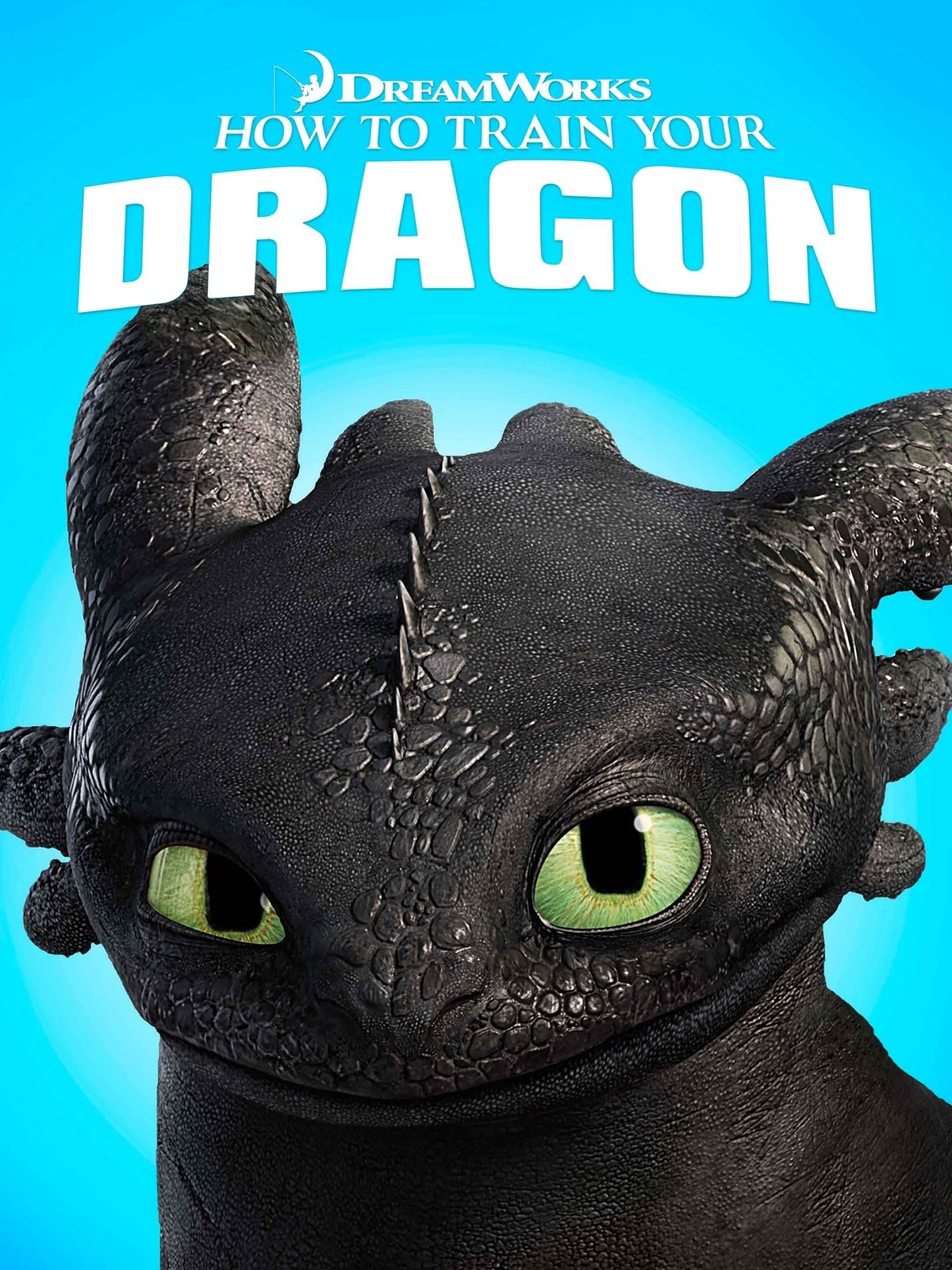 How To Train Your Dragon.jpg