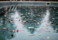 regular pool maintenance service Los Angeles County