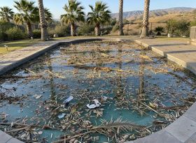 Pool-Cleaning-Service-Los-Angeles-Why-Professional-Pool-Cleaning-Is-Essential-Year-Round-50-geotagged.jpeg