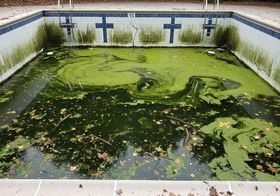 Pool service Los Angeles County
