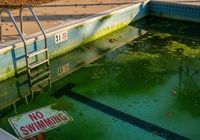 weekly pool service westlake village