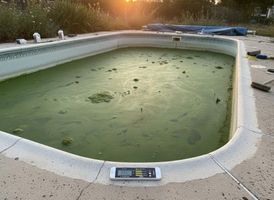 Why-your-Pool-Water-Turns-Green-and-When-to-Call-a-Pool-Service-4-geotagged.jpeg