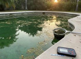 Why-your-Pool-Water-Turns-Green-and-When-to-Call-a-Pool-Service-geotagged.jpeg