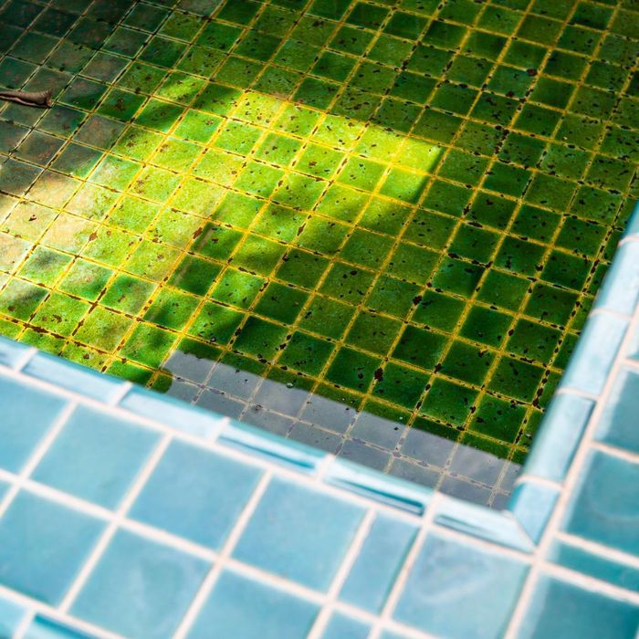 professional pool cleaning Los Angeles County