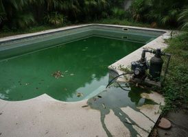 Why-your-Pool-Water-Turns-Green-and-When-to-Call-a-Pool-Service-21-geotagged.jpeg