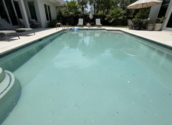 Pool service Los Angeles County