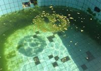 pool cleaning service simi valley ca