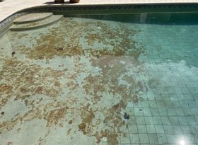 Why-Homeowners-in-Westlake-Village-Choose-Professional-Pool-Maintenanc-4-geotagged.jpeg