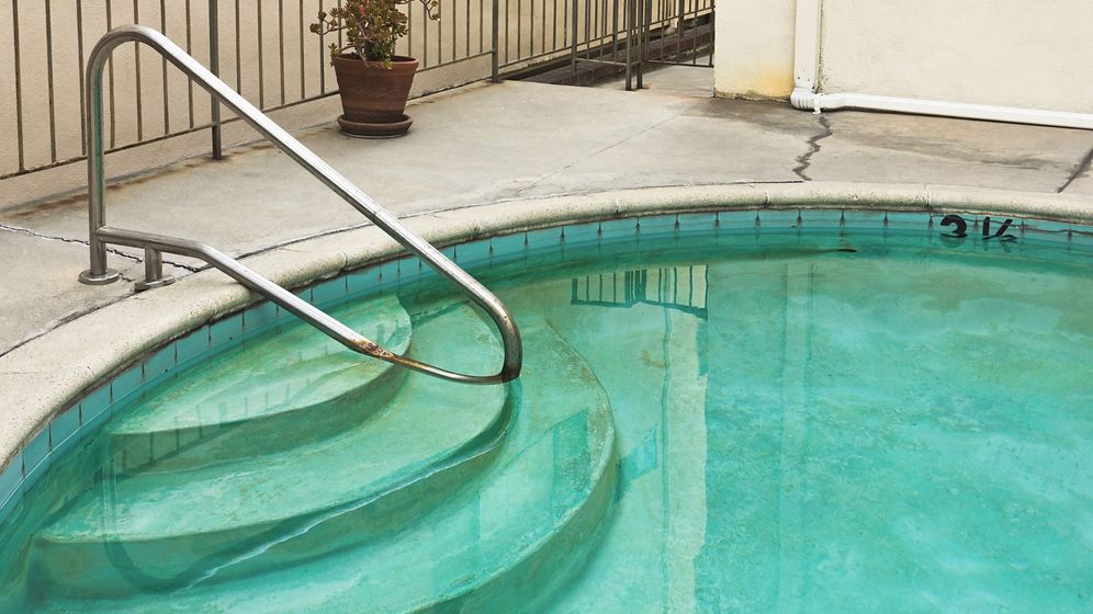 algae growth in pool