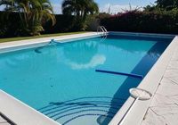 green pool cleanup bel air