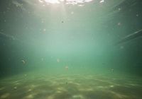 weekly pool service calabasas