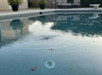 Pool-Cleaning-Service-Los-Angeles-Why-Professional-Pool-Cleaning-Is-Essential-Year-Round-15-geotagged.jpeg
