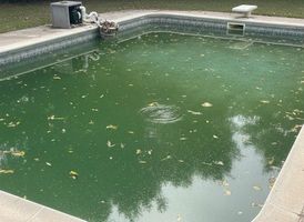Why-your-Pool-Water-Turns-Green-and-When-to-Call-a-Pool-Service-2-geotagged.jpeg