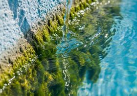 Pool service Los Angeles County