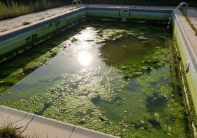 pool service moorpark ca