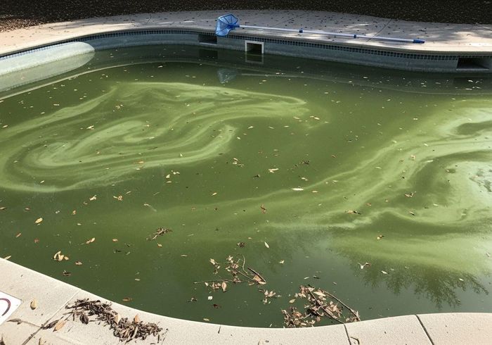 Pool service Los Angeles County