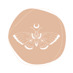 moth and moon icon