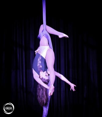 Aerial silks.jpg