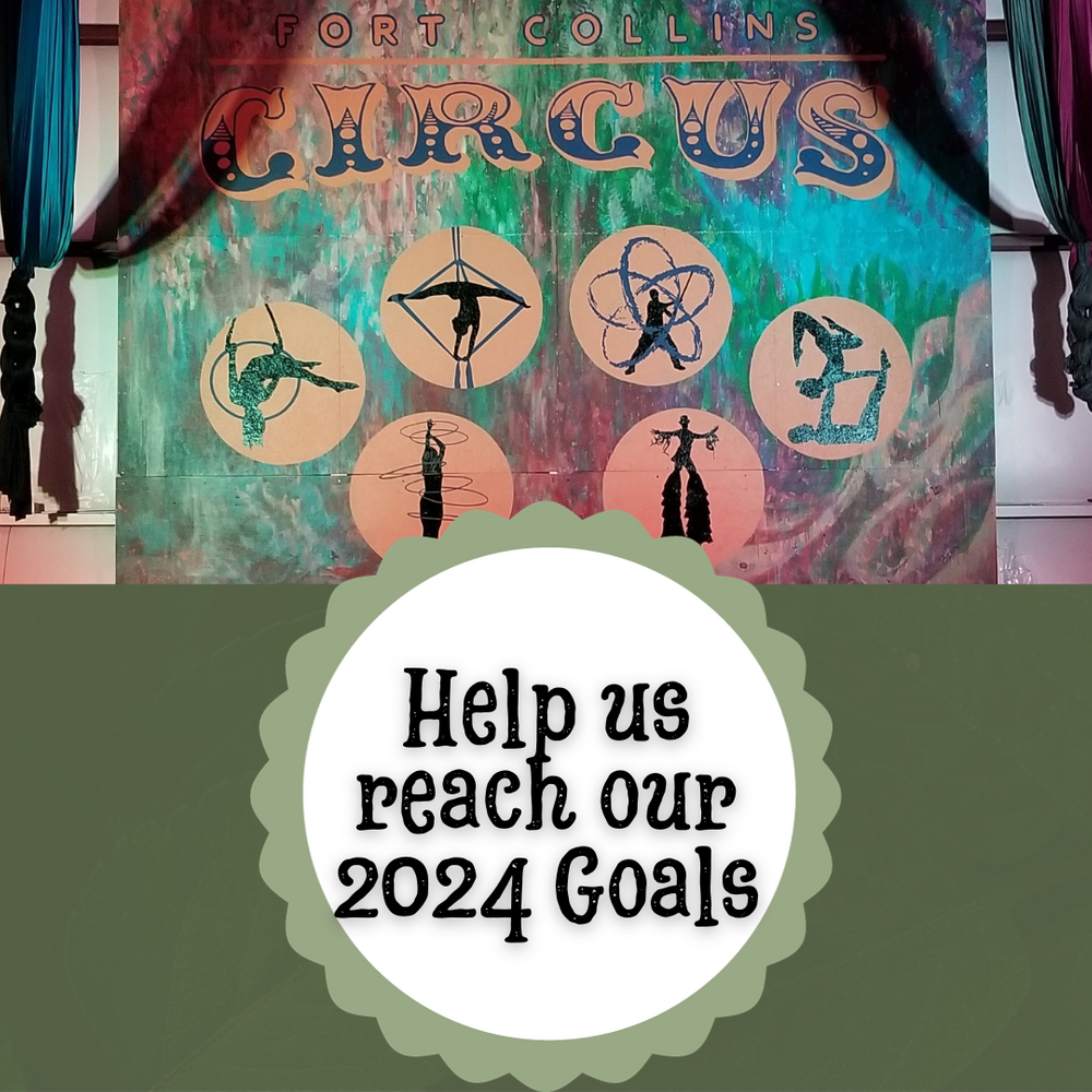 Help us reach our 2024 Goals.png