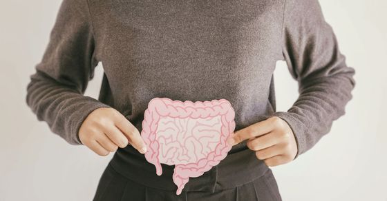 Person holing a paper cutout of a gut