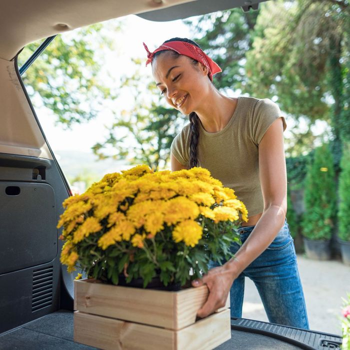 person loading flowers into a trunk
