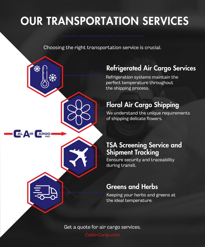 M37784 - IG - Different Types of Transportation Services Offered by Cal Air Cargo.png