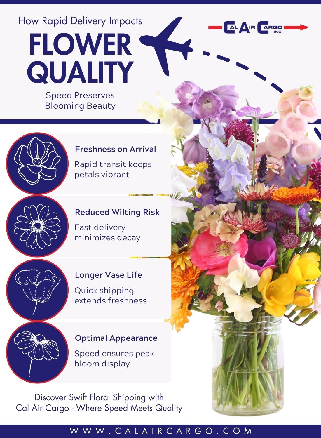 Infographic - How Rapid Delivery Impacts Flower Quality.jpeg