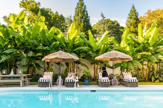 2021-09-02+BLOG+Dawns+House+-+Diggs+Design+-+Greenville,+SC+-+Jack+Robert+Photography39 (1).jpg