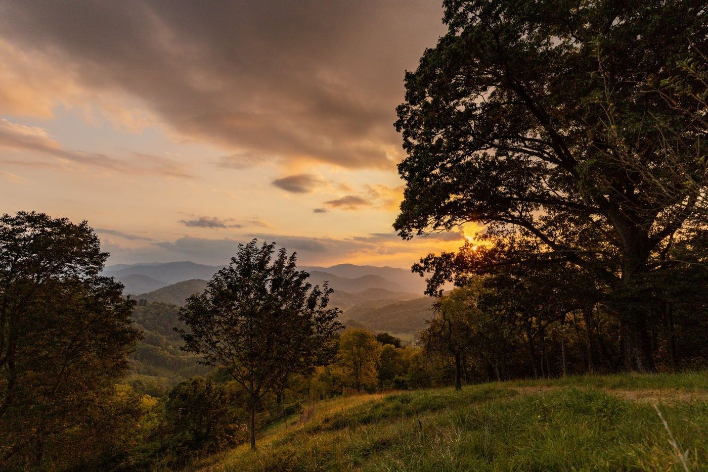 2021-09-14 BLOG Lichtenfelt Cabin Property - Marshall, NC - Jack Robert Photography18