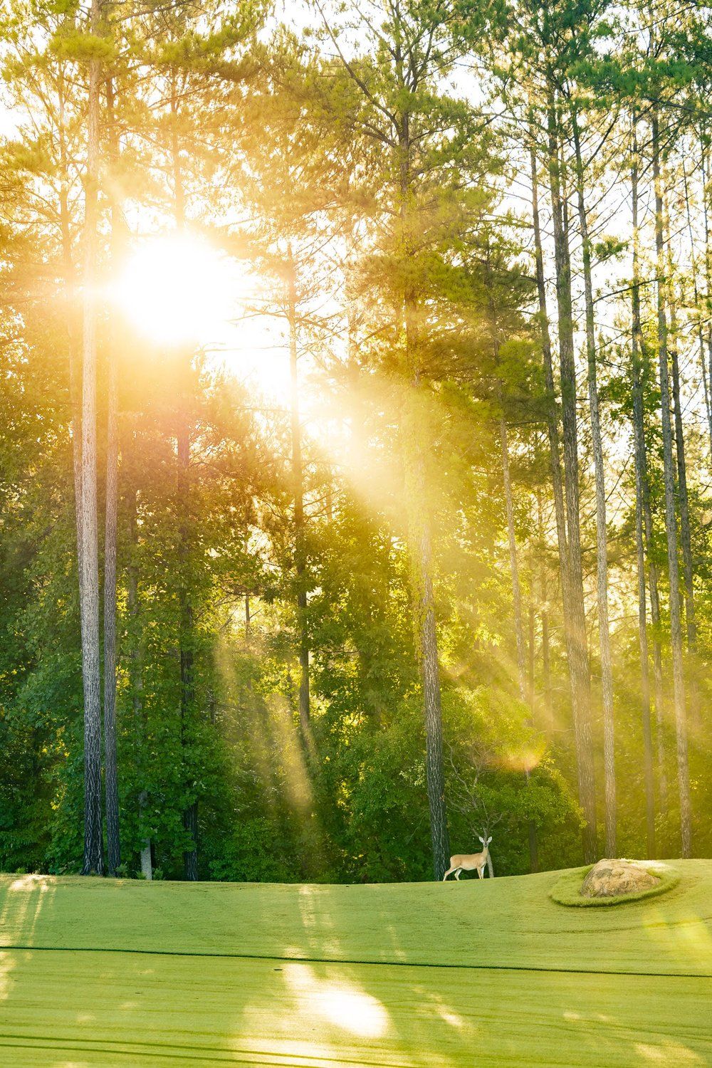 BLOG 2022-08-31 Cliffs Keowee Springs Golf Course | Jack Robert, Photographer-9387