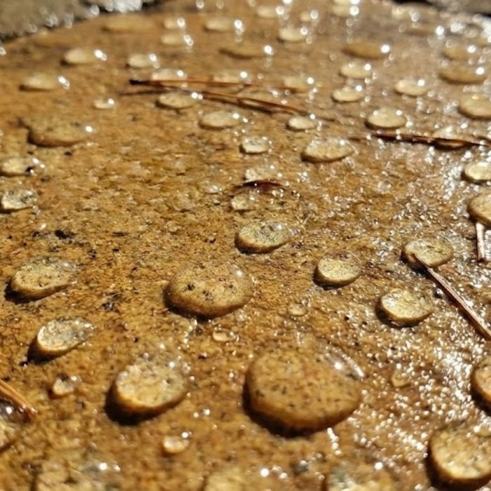 Close-up of water droplets beading on a sealed paver surface
