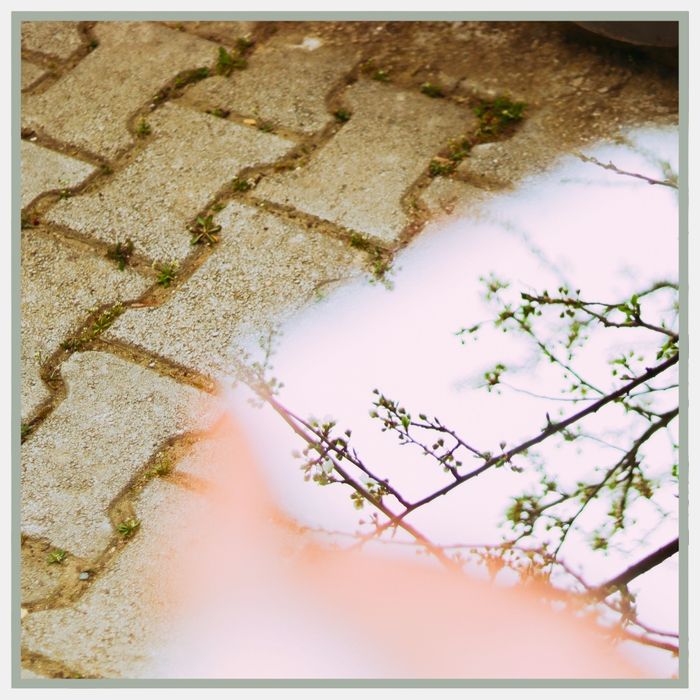 BlogImage3-How Paver Sealing Can Extend the Lifespan of Your Hardscapes.jpg