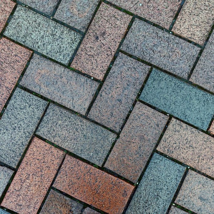 Copy of WS Hero (4).jpg