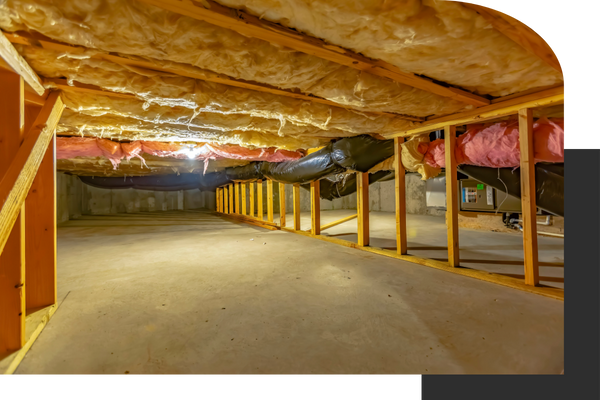 Crawl Space - 2.png