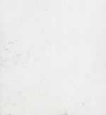 White.jpeg