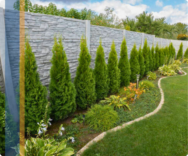 Water Damage - 5050 1 (2).png