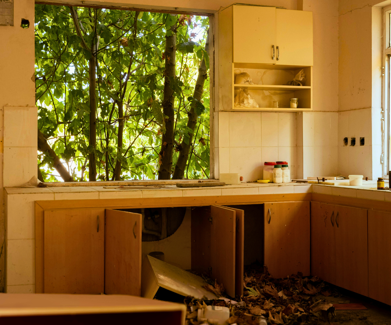 Water Damage - 5050 2.png