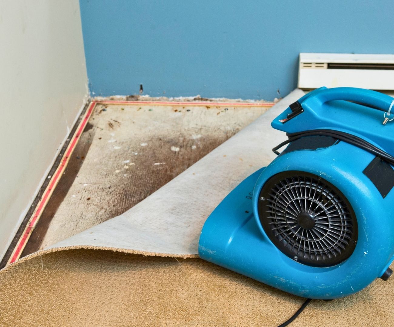 Emergency Restoration - 5050 2.jpg